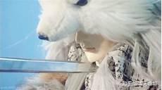 霹雳木偶布袋戏